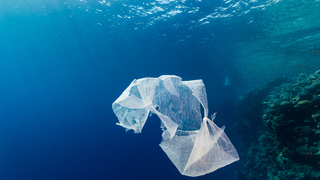 We're Emptying the Oceans of Fish and Filling Them With Plastic